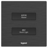 羅格朗酒店客控 E5 拉絲黑 二位RS485開關 二開