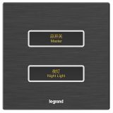 羅格朗酒店客控 E6 拉絲黑 二位RS485開關 二開