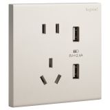 羅格朗開關(guān)插座 淳逸 粉鉑金 帶二三插USB充電插座 五孔帶USB插座