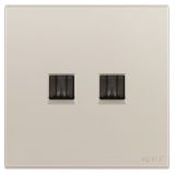 羅格朗開關插座 畫采 粉鉑金 二位電腦插