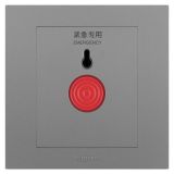 羅格朗開關插座 輕藝 深砂銀 緊急呼叫開關