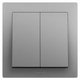 羅格朗開關插座 博蘊 深砂銀 二位雙控開關 二開雙控 10AX