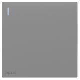 羅格朗開關插座 暢境  深砂銀 一位雙控帶指示開關 一開雙控 16AX