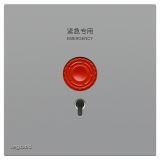 羅格朗開關插座 暢境  藝術灰 緊急呼叫開關