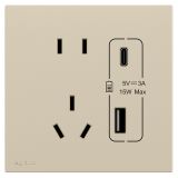 羅格朗開關插座 暢境  粉鉑金 帶二三插Type A+C USB充電插座 Type A+C USB五孔插座 15W