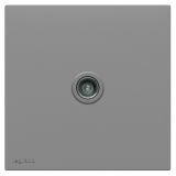 羅格朗開關插座 悅鉑  深砂銀 一位電視插