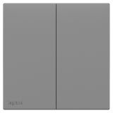 羅格朗開關插座 悅鉑  深砂銀 二位雙控開關 二開雙控 16AX