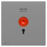 羅格朗開關插座 悅鉑  深砂銀 緊急呼叫開關