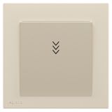 羅格朗開關插座 博駿  粉鉑金 插卡取電節能開關