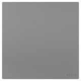 羅格朗開關插座 維翼 深砂銀 一位雙控開關一開雙控 16AX