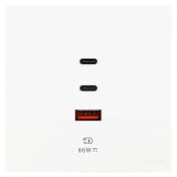 羅格朗開關插座 維翼 陶瓷白 Type A+2C USB充電插座 66W