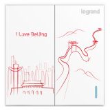 羅格朗開關插座 仕典 個性噴繪 愛國 二位雙控 二開雙控帶熒光開關 16AX