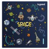 羅格朗開關插座 仕典 個性噴繪 太空 二位雙控 二開雙控帶熒光開關 16AX