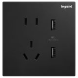 羅格朗開關插座 逸景零售 碳素黑 USB充電五孔插座